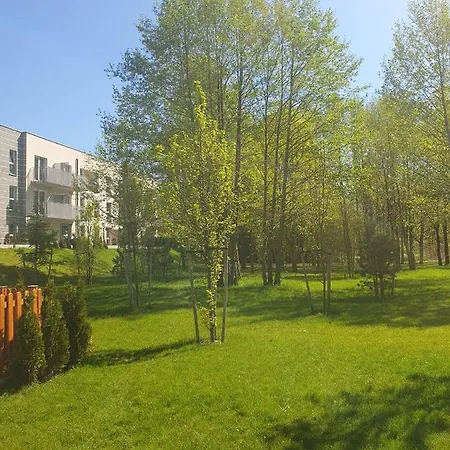3 Pokojowy Lub W Mieszkaniu W Nowym Bloku