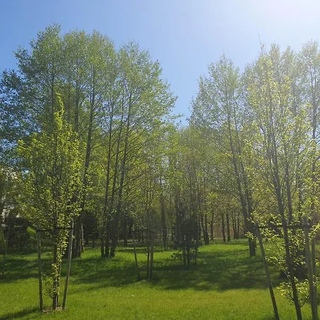 3 Pokojowy Lub W Mieszkaniu W Nowym Bloku Privat bolig