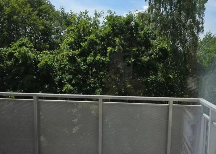 3 Pokojowy Lub W Mieszkaniu W Nowym Bloku *